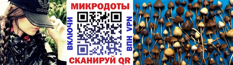 Псилоцибиновые грибы мицелий  где можно купить наркотик  Сосновка 